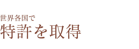足骨筋（チョッコルグン）